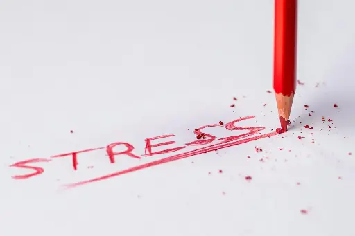 STRESS MANAGEMENT FOR ENTREPRENEURS